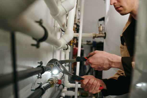 Best Plumbing Services Near Me  in Wells, MN