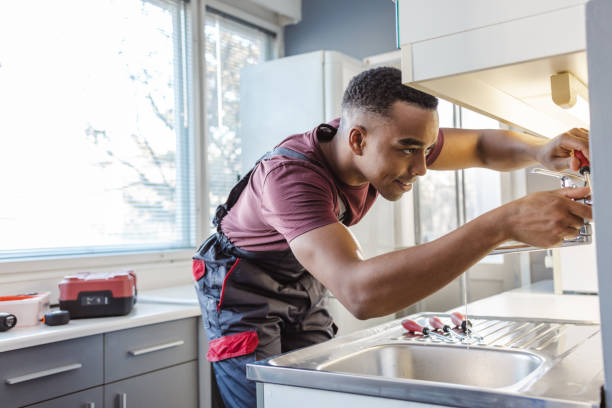 Best Affordable Plumbing Services  in Wells, MN
