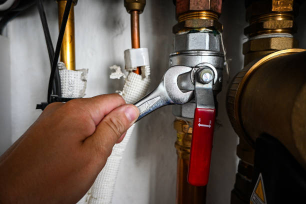  Wells, MN Plumbing Pros